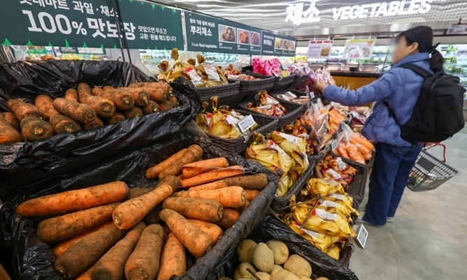 배추 시금치 등 채솟값 확 꺽였다 10월 생산자물가